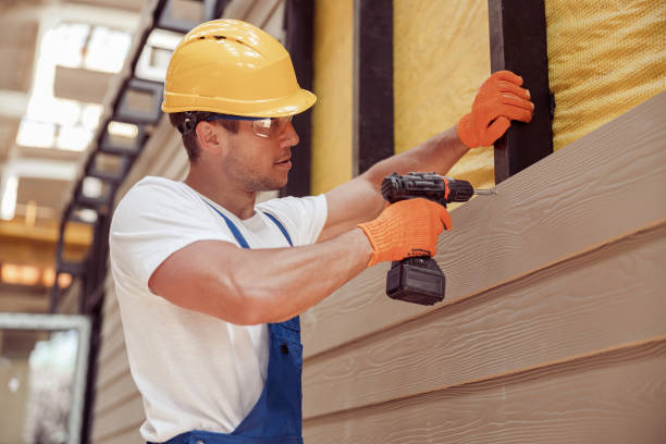 Best Insulated Siding Installation  in Waldron, AR
